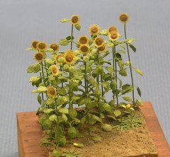 Kamizukuri A-1-48: 1/48 Sunflowers